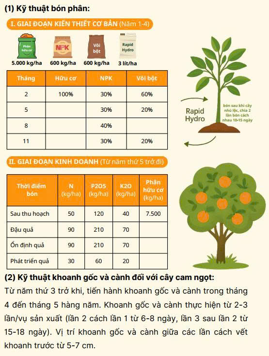 How to Findout Healthy Food For Body